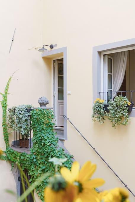 Corte Paolina - Charming Courtyard Inside Lucca Ngoại thất bức ảnh