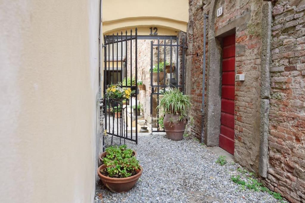 Corte Paolina - Charming Courtyard Inside Lucca Ngoại thất bức ảnh