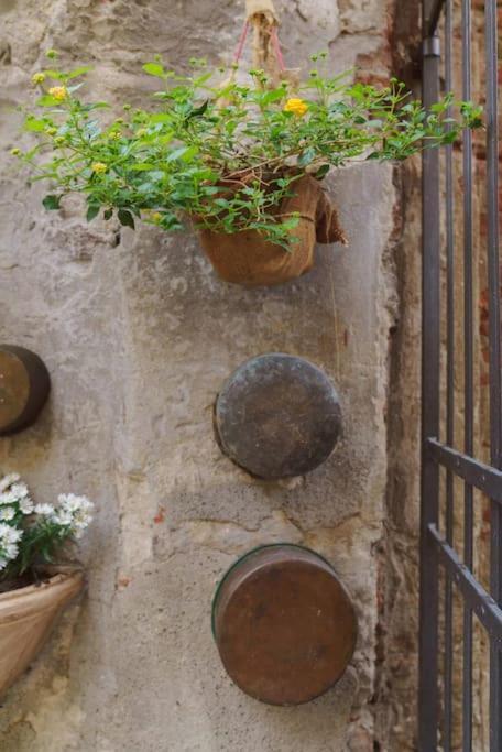 Corte Paolina - Charming Courtyard Inside Lucca Ngoại thất bức ảnh